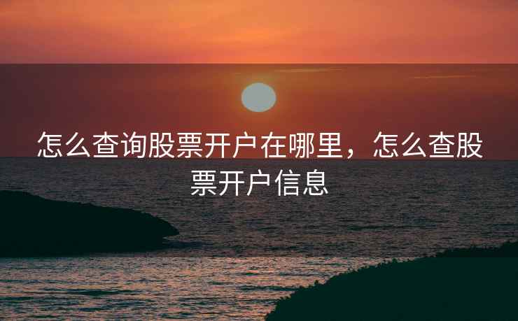 怎么查询股票开户在哪里，怎么查股票开户信息