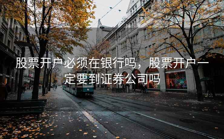 股票开户必须在银行吗，股票开户一定要到证券公司吗